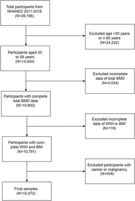 The relationship between weight-adjusted-waist index and total bone mineral density in adults aged 20-59